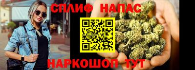 спиды Заводоуковск