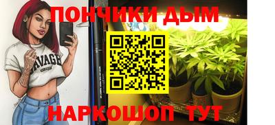 спиды Заводоуковск