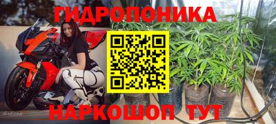 хмурый Жуковский
