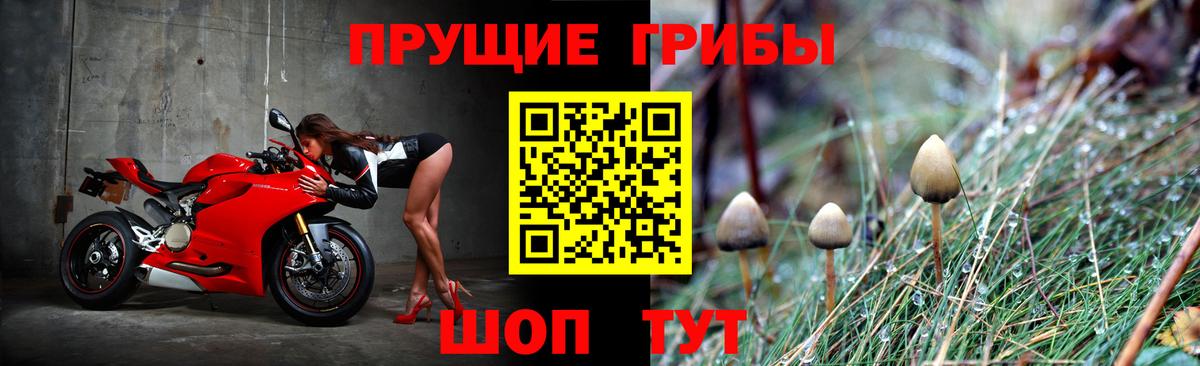 Мыски  Галлюциногенные грибы ЛСД  Вход с VPN  Галлюциногенные грибы Psilocybe 
