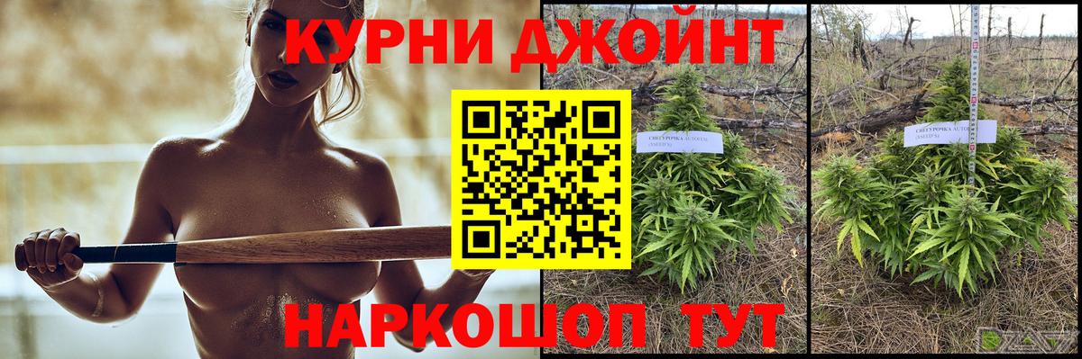 Бошки марихуана семена  Вход с VPN  Марихуана ГИДРОПОН  Мыски  Марихуана гибрид  Марихуана индика 